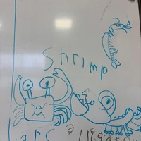 画像259