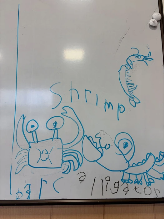 画像259
